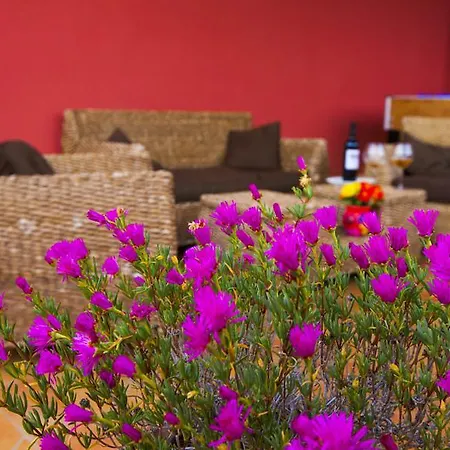 Profumo Di Zagara Bed & Breakfast Paceco