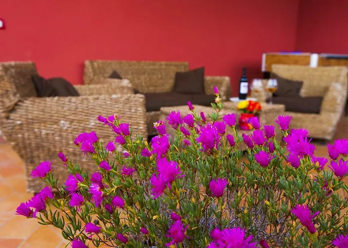 Profumo Di Zagara Bed & Breakfast Paceco